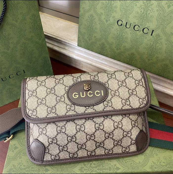 202529C489617N164017427