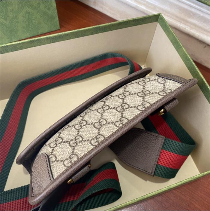 202529C489617N164017518