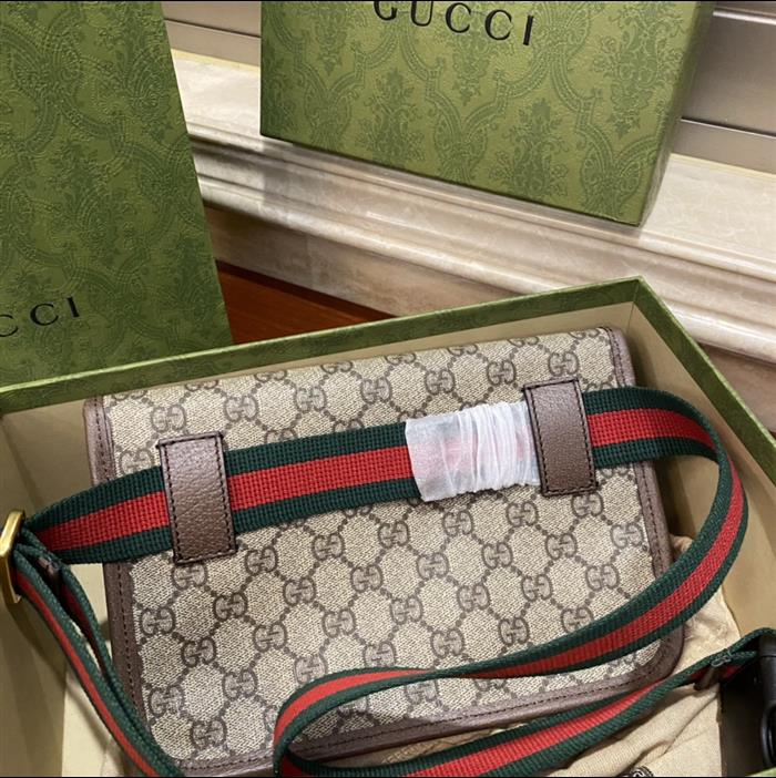 202529C493930N164017626