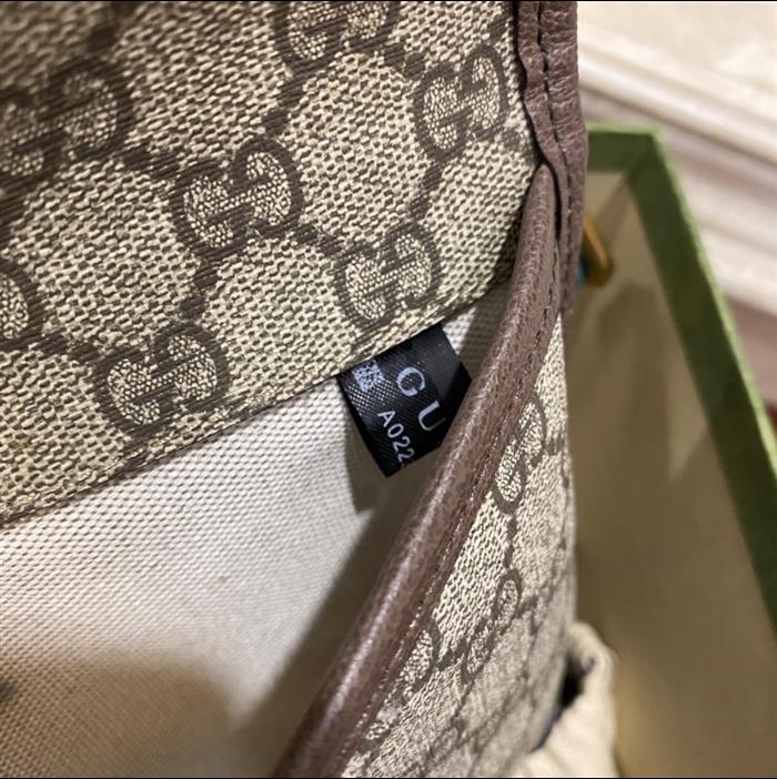 202529C493930N164017689