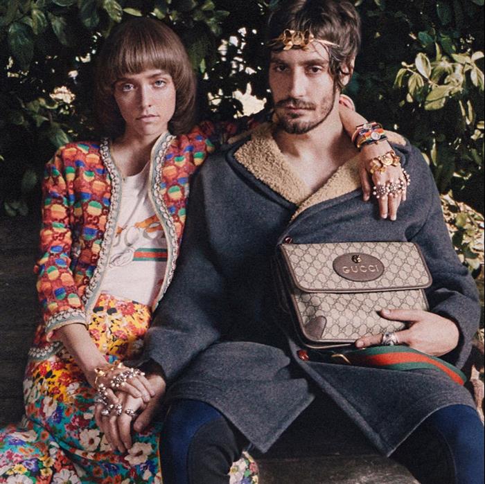 202529C495654N164017925