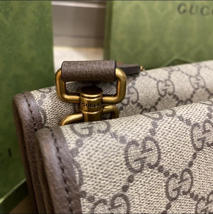 202529C495654N16401866