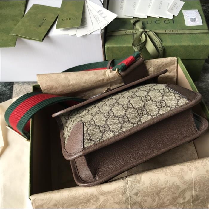 202529C501050N164018350