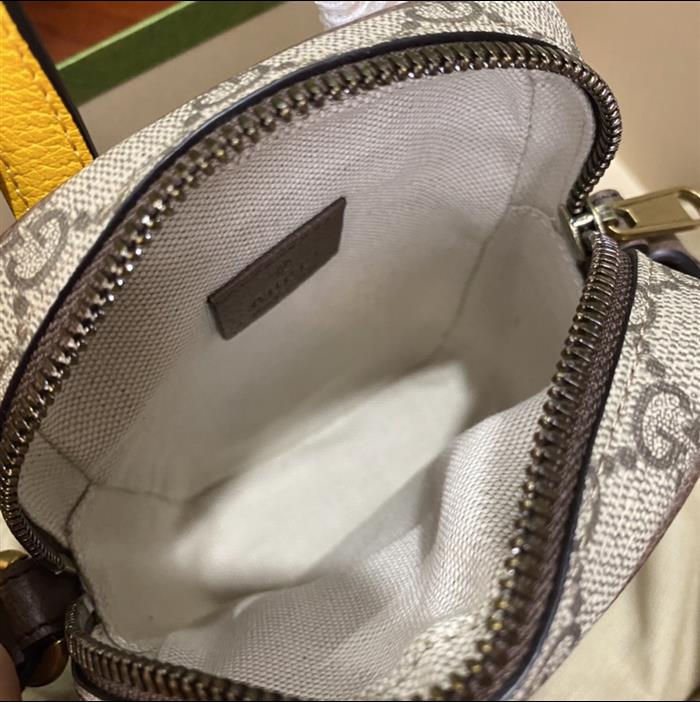 202529C658556N164019134