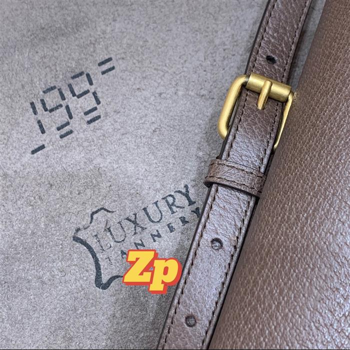 202529C658556N164019229