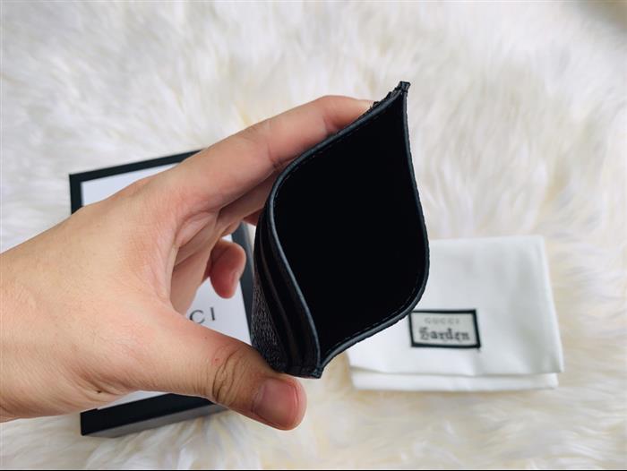 202529C523665N164053176