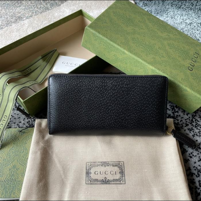 202529C523667N164053347