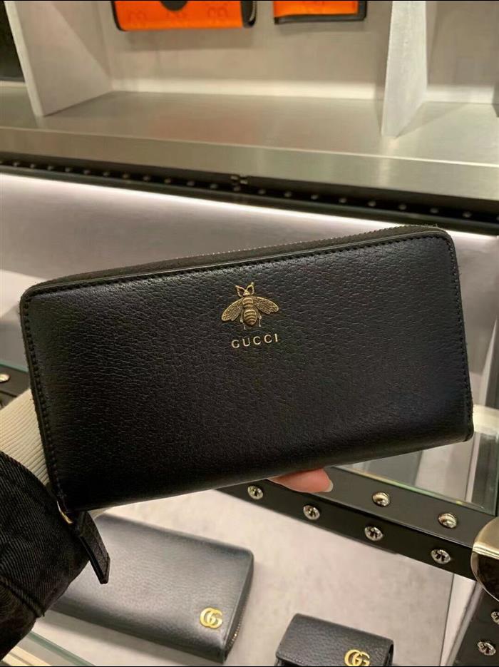 202529C523667N164053456