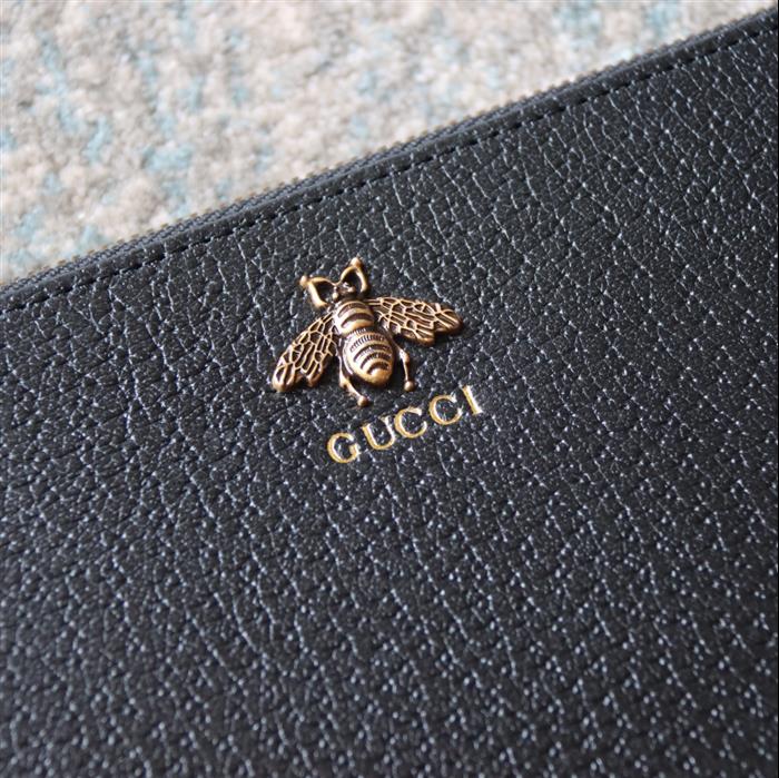 202529C523684N164053687