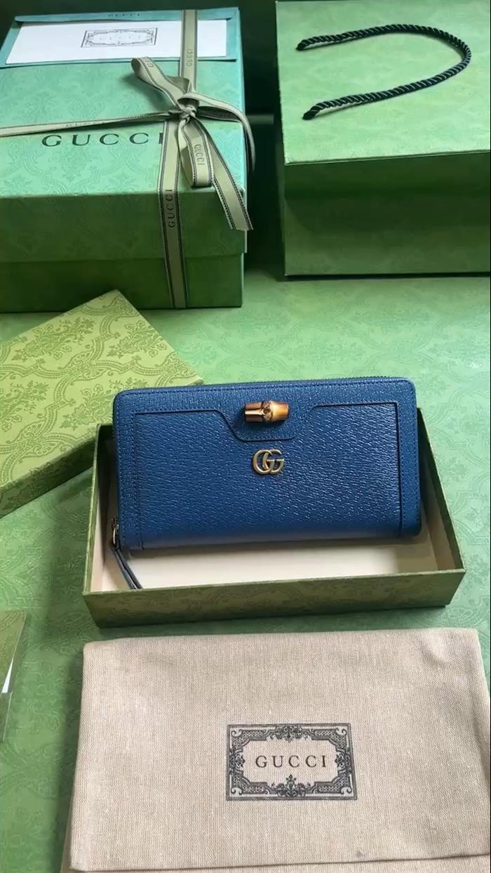 202529C658634N164055338