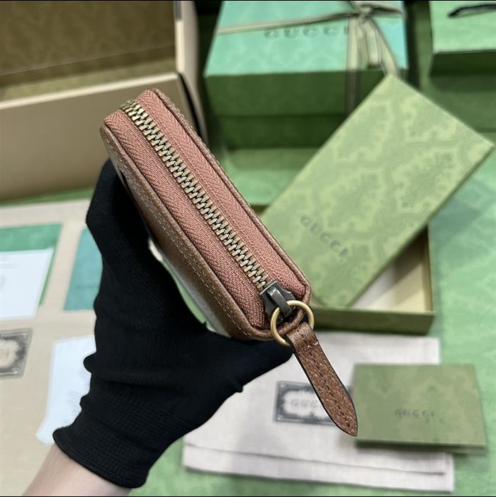 202529C658634N164055591