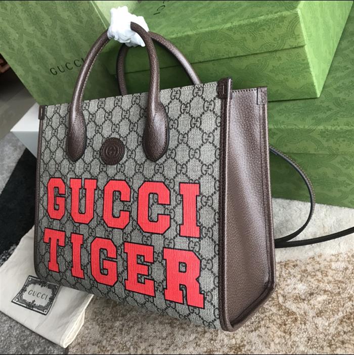 202529C659983N164052504