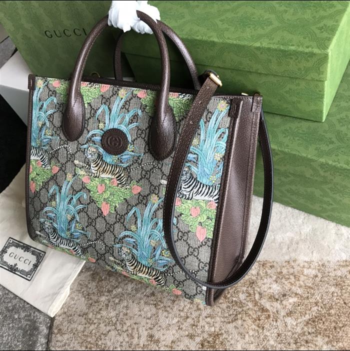 202529C659983N164052646