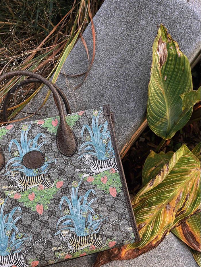 202529C659983N164052849