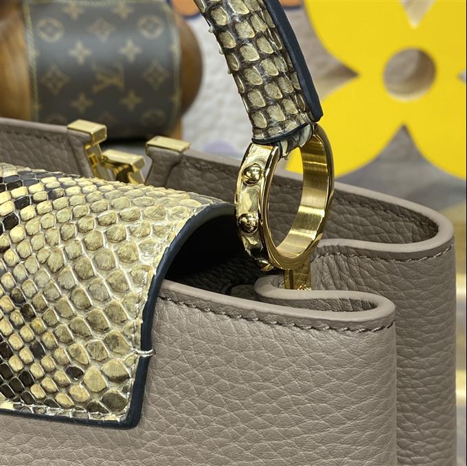 2025224N8004110320423