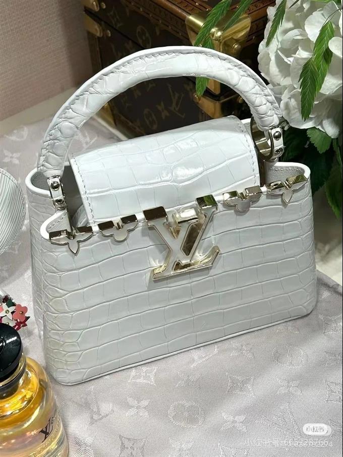 2025224N8615310325564