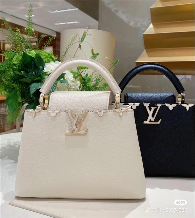 2025224M2333110323503