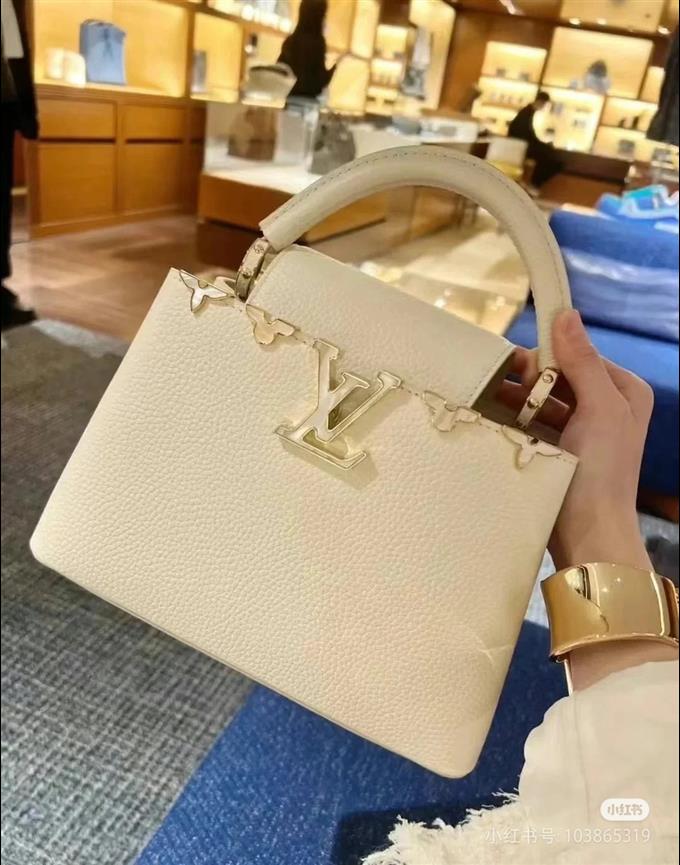 2025224M233319475610