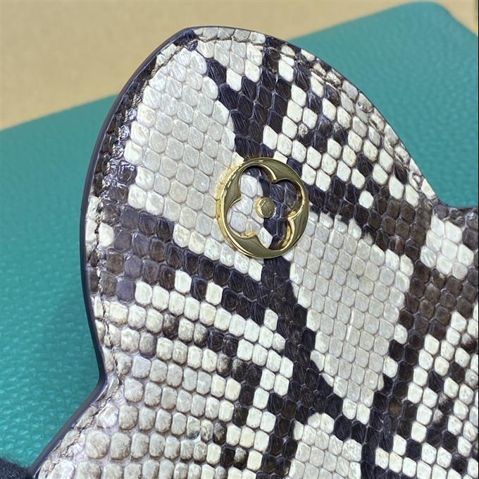 2025224M8074194759954