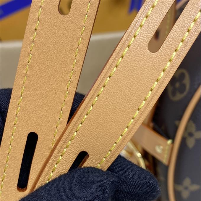 2025224M52294223655915