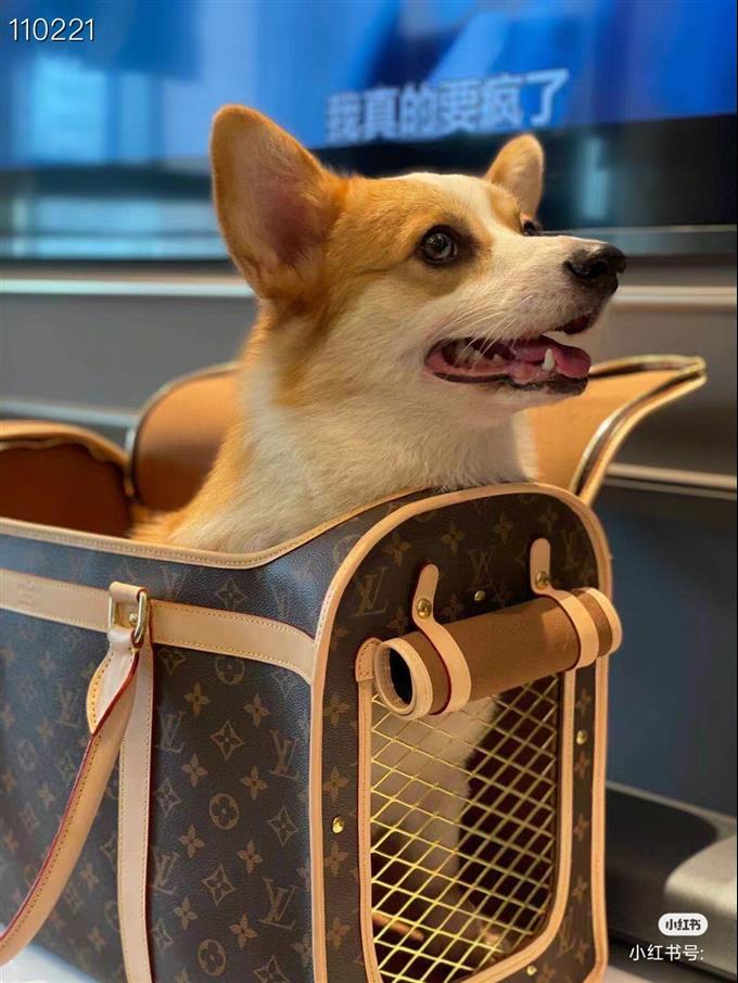 2025224M456621214079