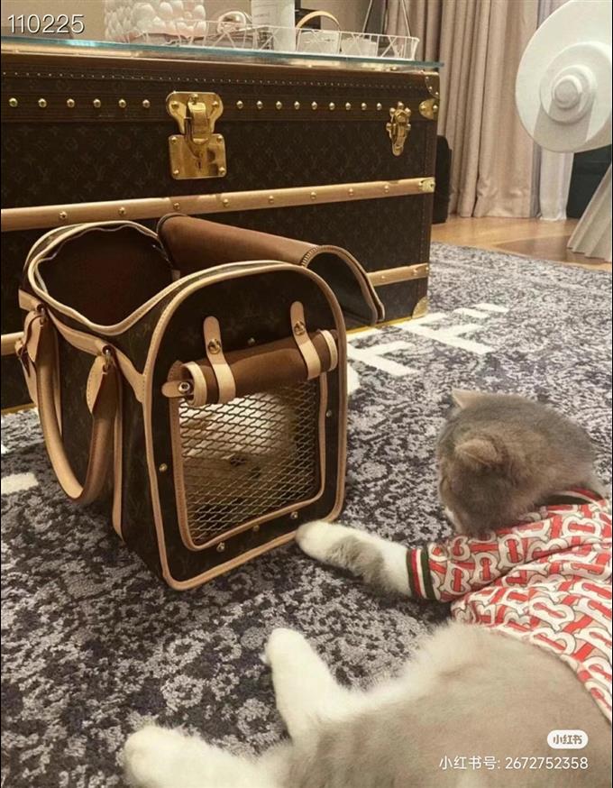 2025224M456621214095