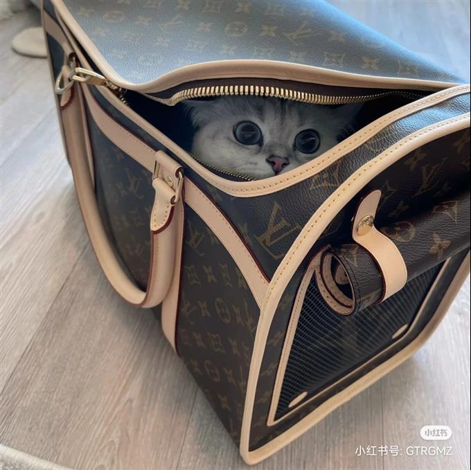 2025224M4566212142104