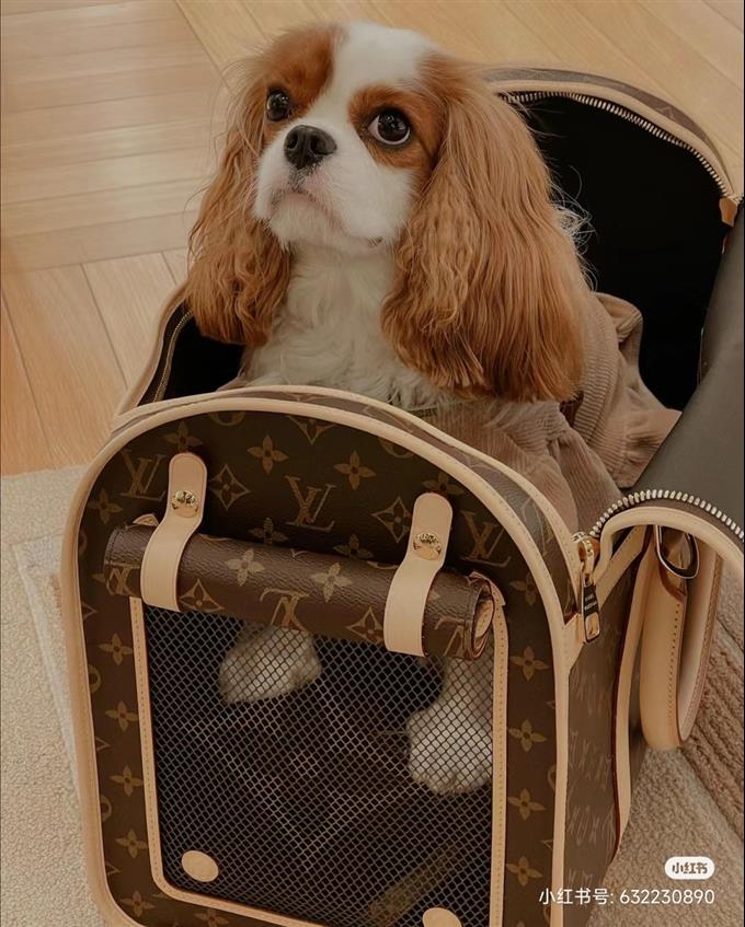 2025224M456621214211