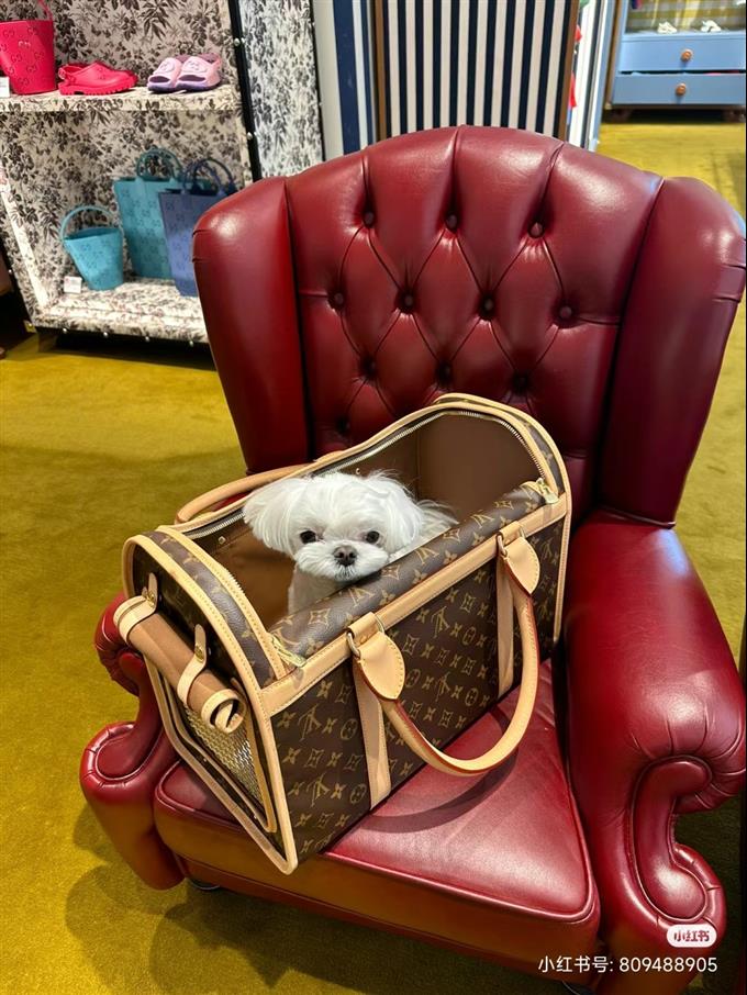 2025224M456621214226