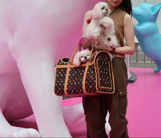 2025224M4706612141667