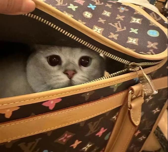 2025224M4706612141727