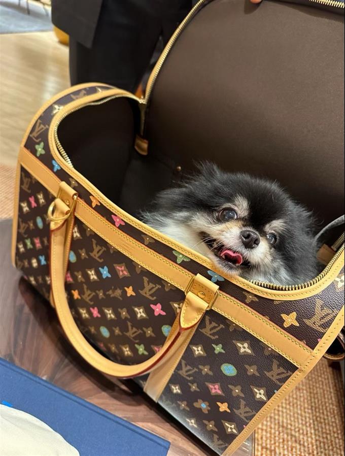 2025224M4706612141790