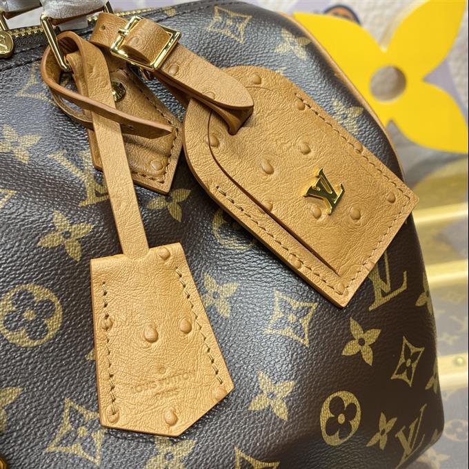 2025224N8721210834658