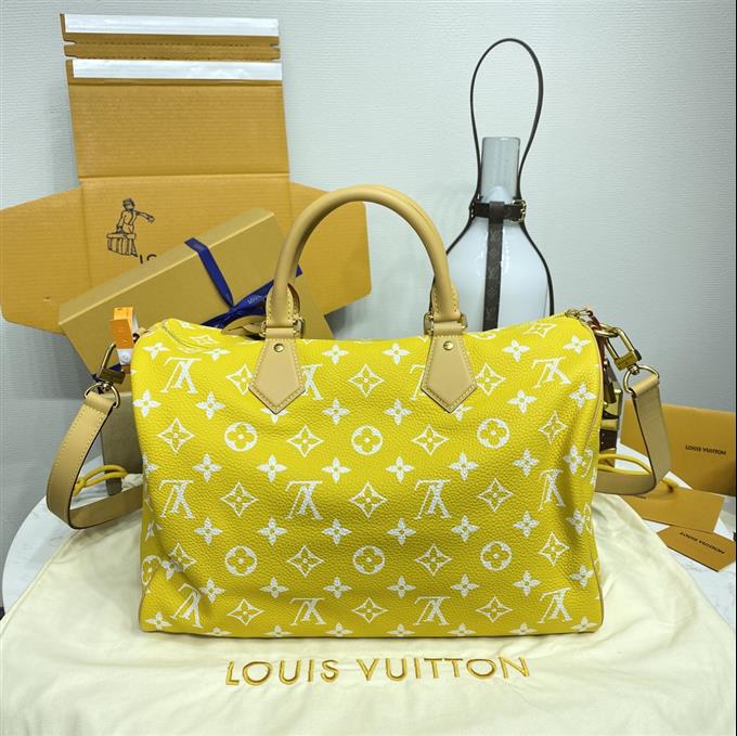 2025224M2441910951156