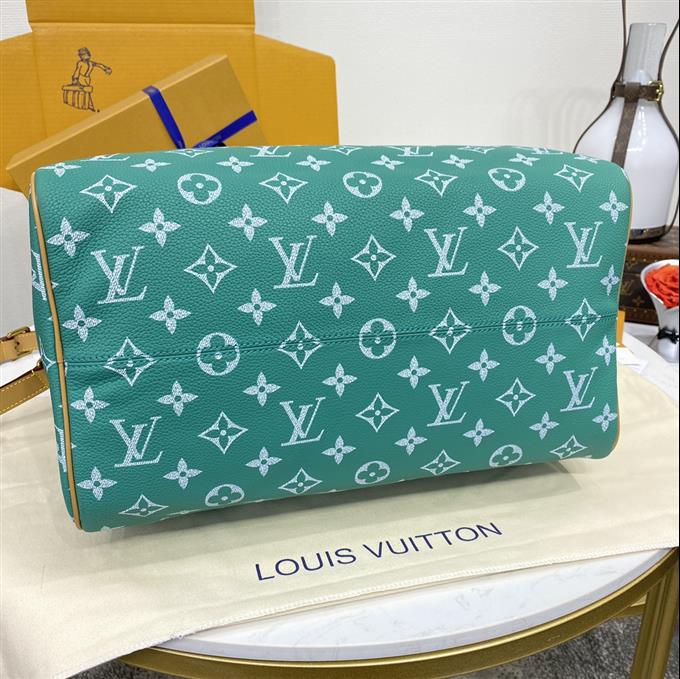 2025224M244191095275