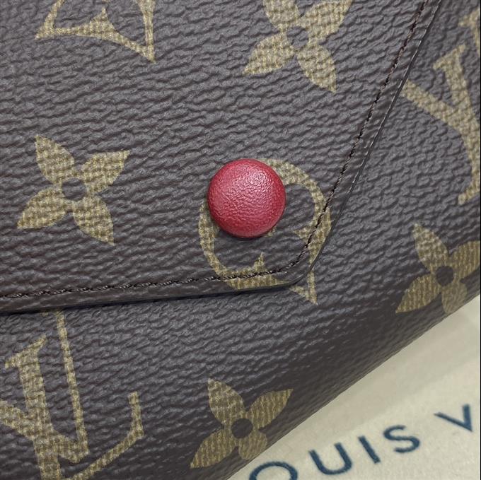 2025224M62360104118205