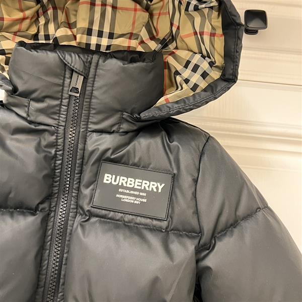 2024322113131562370400