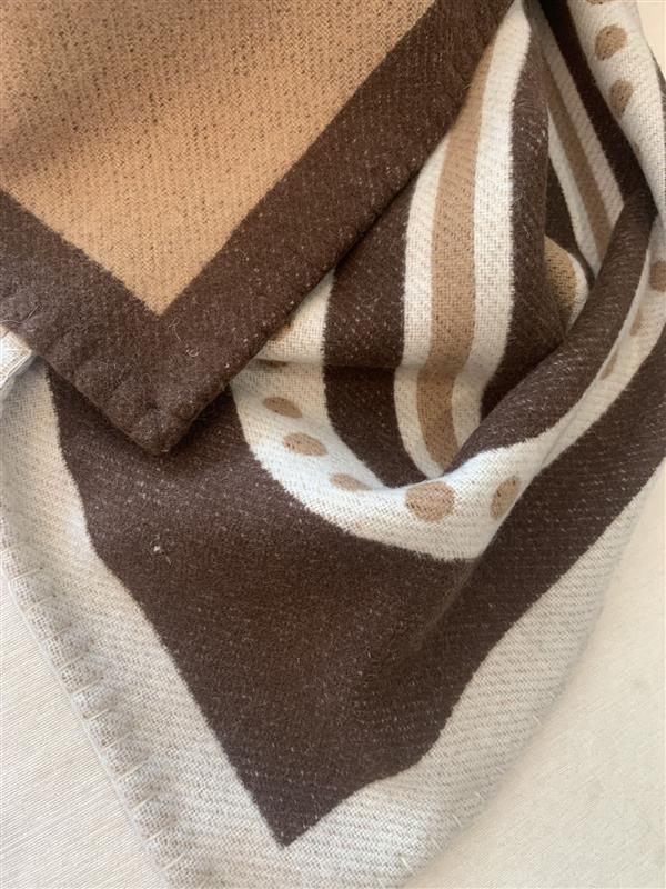 20230510 i1683699891 955 8.jpg